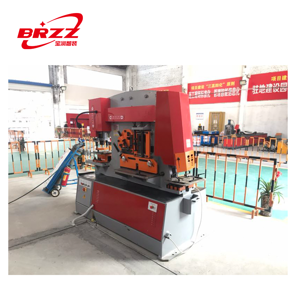 Hydraulic punching and shearing machine